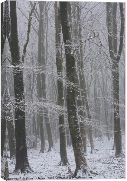 Winter Woods Canvas Print by Simon Johnson