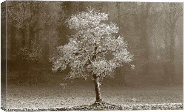 Winter tree Hoar frost Canvas Print by Simon Johnson