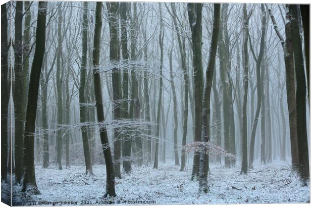 Frosted woodland Canvas Print by Simon Johnson