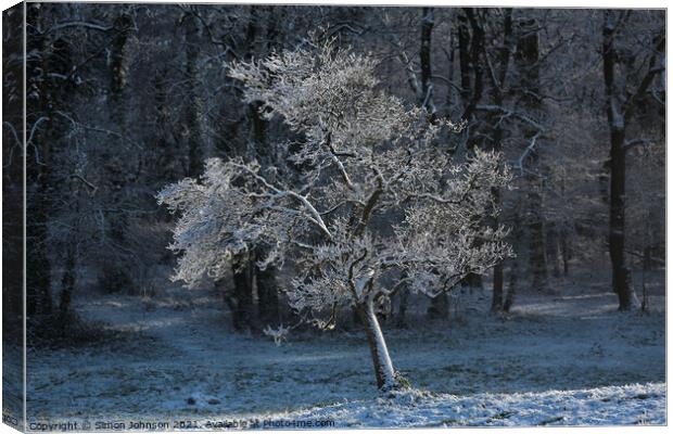 Sunlit hoar frost Canvas Print by Simon Johnson