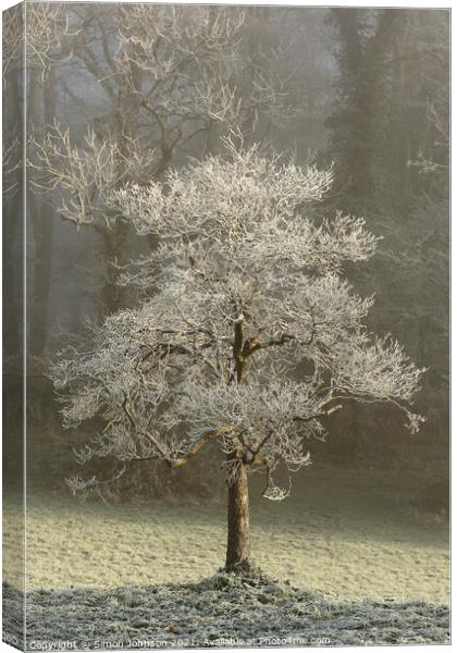 Hoar frost Broadway Woods  Canvas Print by Simon Johnson