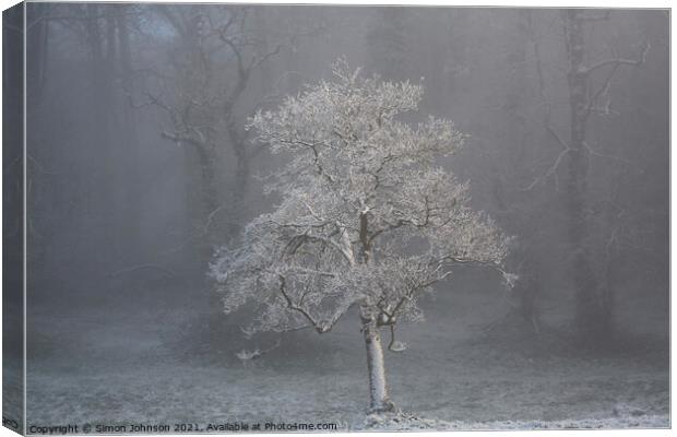 tree in fog Canvas Print by Simon Johnson