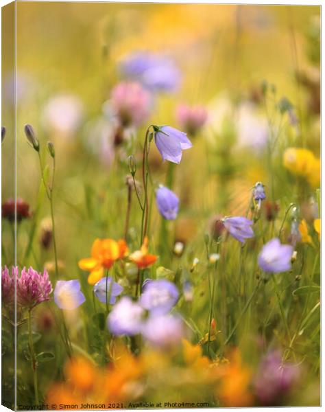 meadow flowers Canvas Print by Simon Johnson