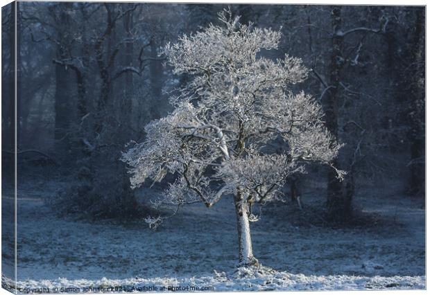 Frosted  tree with snow on the ground Canvas Print by Simon Johnson