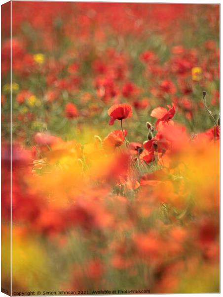 Diffused poppies Canvas Print by Simon Johnson