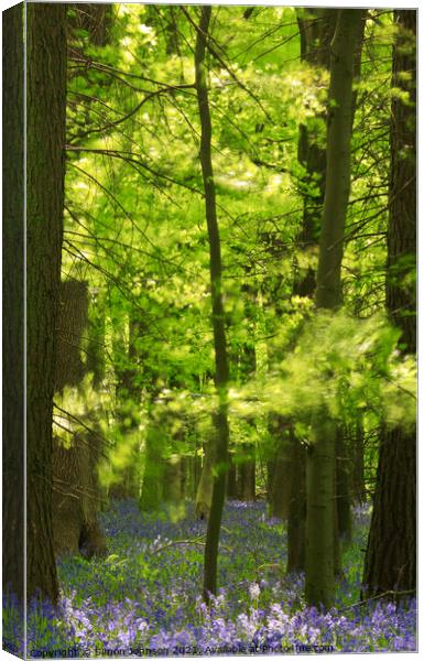 bluebell wood Canvas Print by Simon Johnson