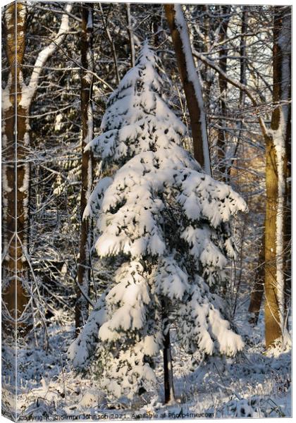 Yetti alive in Broadway Woods Canvas Print by Simon Johnson