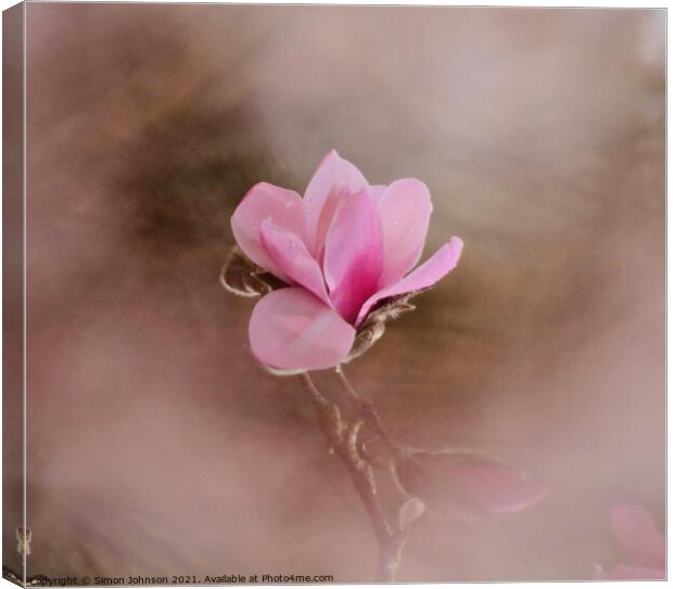 close up of magnolia flower Canvas Print by Simon Johnson