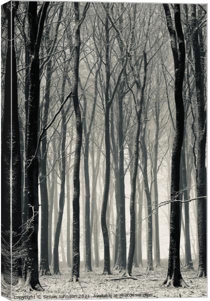 Winter treescape Canvas Print by Simon Johnson