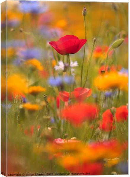 meadow flowers and poppies Canvas Print by Simon Johnson
