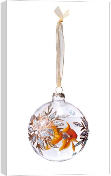 Goldfish In Christmas Bauble Canvas Print by Robert Deering