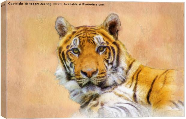 Eyes of the tiger Canvas Print by Robert Deering