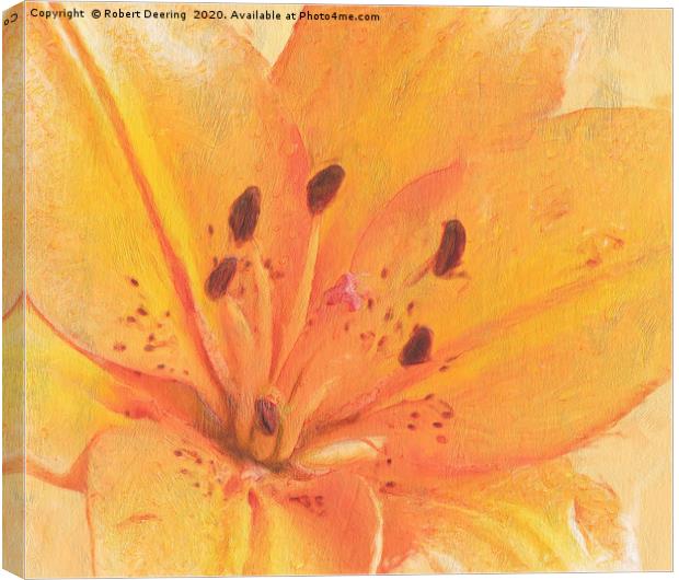 Orange lily close up Canvas Print by Robert Deering