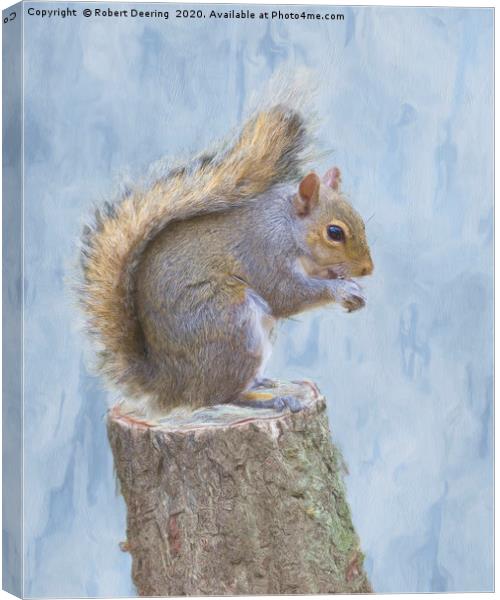Grey squirrel on tree stump Canvas Print by Robert Deering