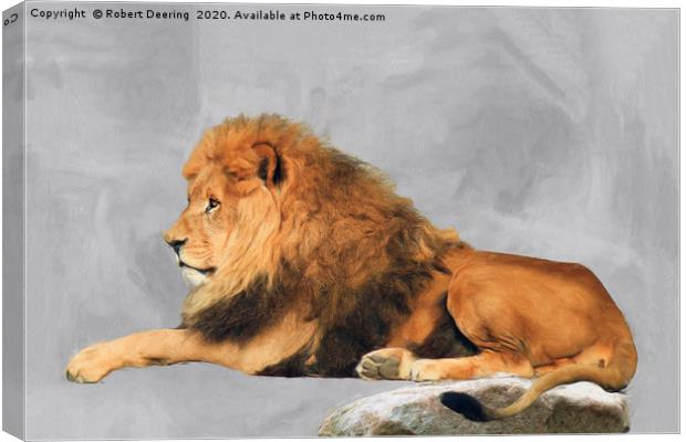 Male Lion Laying Down Canvas Print by Robert Deering