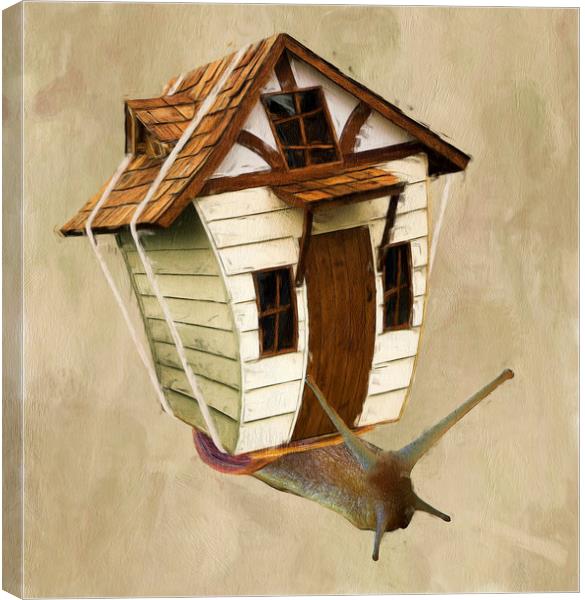 Moving Home Canvas Print by Robert Deering