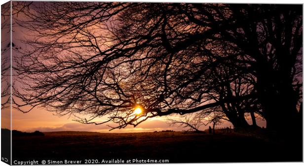 Sunset through the branches Canvas Print by Simon Brewer