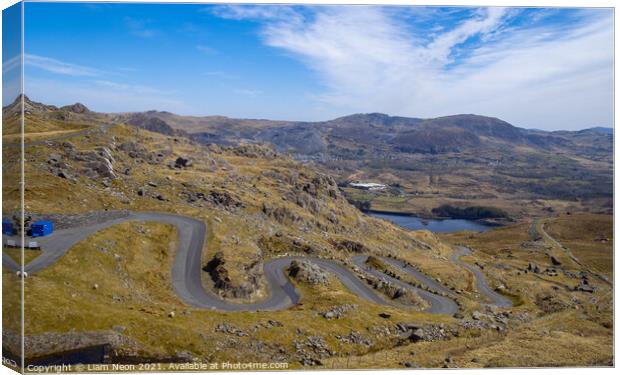 The Long and Winding Road Canvas Print by Liam Neon