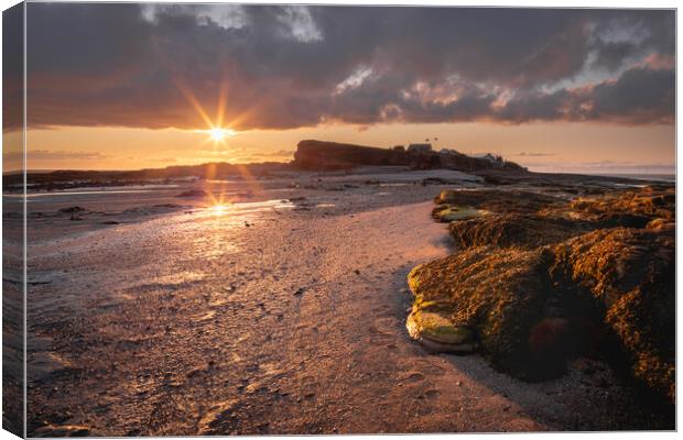 Splash of Light on Hilbre Island, Wirral Canvas Print by Liam Neon