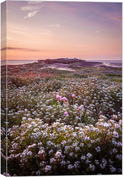 Hilbre Floral Twilight Canvas Print by Liam Neon