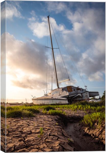 Catamaran High and Dry at Lower Heswall Shore  Canvas Print by Liam Neon