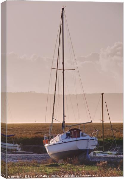 Boat moored at Parkgate Wirral at dusk Canvas Print by Liam Neon