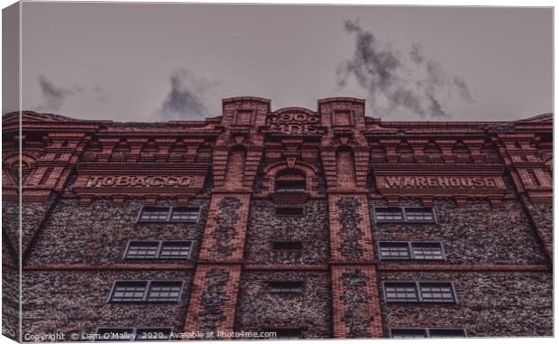 Liverpool Tobacco Warehouse Canvas Print by Liam Neon