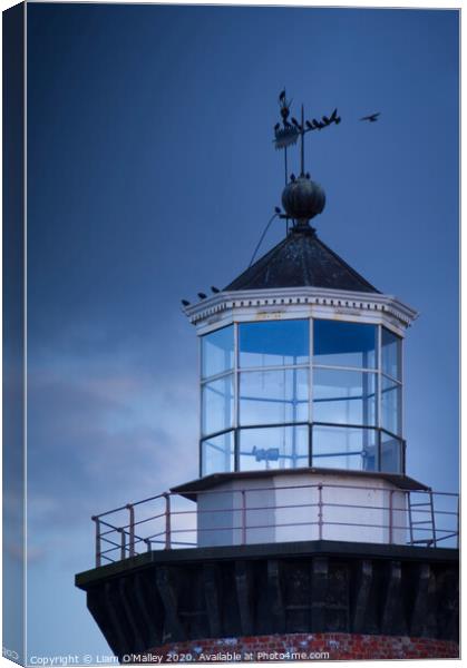 Perched on Hoylake Lighthouse Canvas Print by Liam Neon