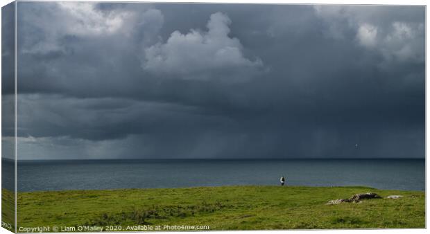 The Oncoming Storm, Llyn Peninsula, Wales Canvas Print by Liam Neon