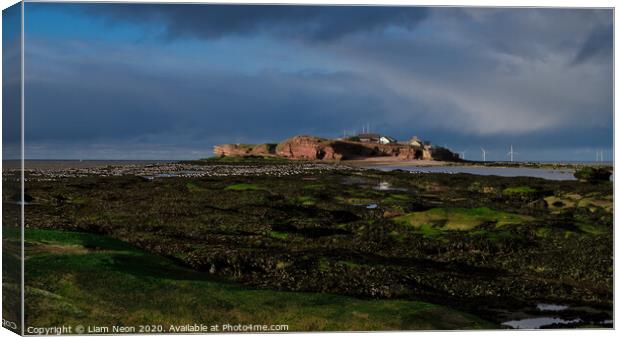 A Winters Rest on Hilbre Canvas Print by Liam Neon