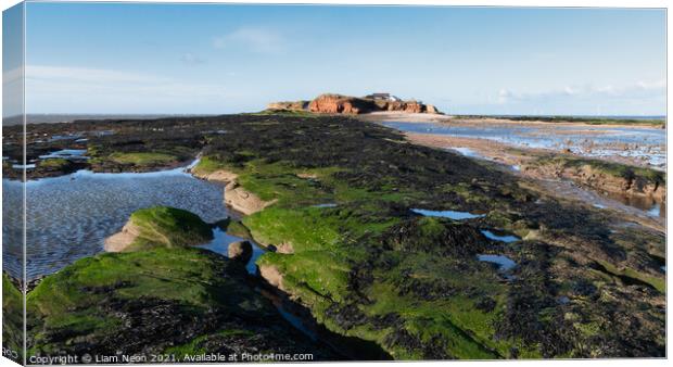 Hilbre Island Rockpools, Wirral Canvas Print by Liam Neon