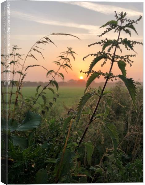 Frosty summers sunrise  Canvas Print by Jade Hughes