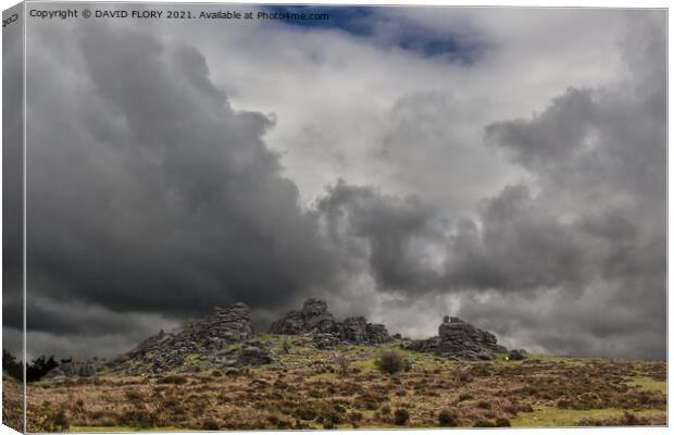 Hound Tor after the storm Canvas Print by DAVID FLORY
