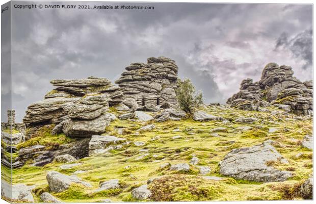 Storm brewing over Hound Tor Canvas Print by DAVID FLORY