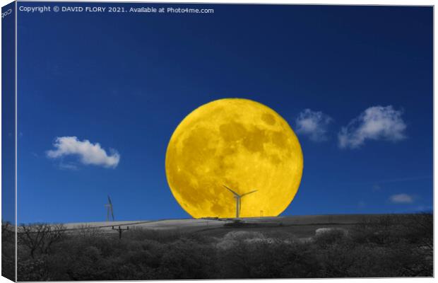Flower Moon Canvas Print by DAVID FLORY