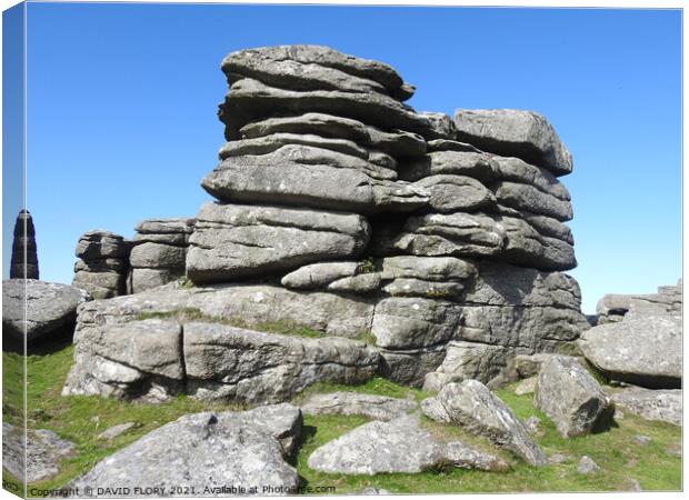 Combstone Tor Canvas Print by DAVID FLORY