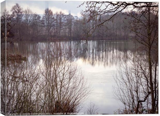 Reflection at Barlow Mere Canvas Print by Angela Cottingham