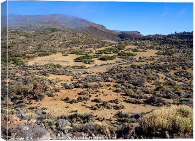 Landscape in the Teide National Park, Tenerife Canvas Print by Angela Cottingham