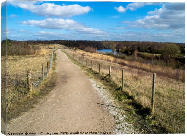 Fairburn Ings Canvas Print by Angela Cottingham