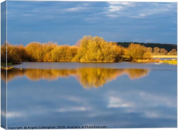 Wheldrake Reflection Canvas Print by Angela Cottingham