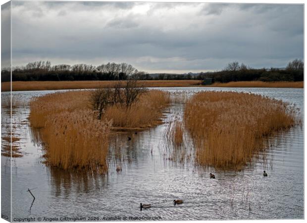 Far Ings Nature Reserve Canvas Print by Angela Cottingham