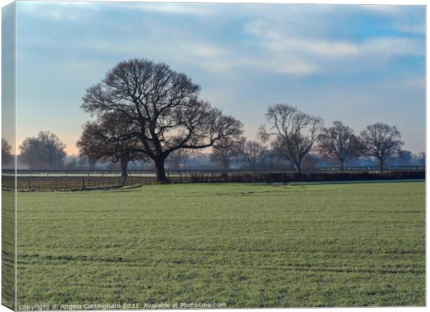 Winter Morning Canvas Print by Angela Cottingham