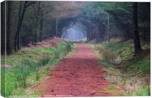 Colorful Winding Path at Dalby Forst with Winter Trees Canvas Print by Lewis Gabell