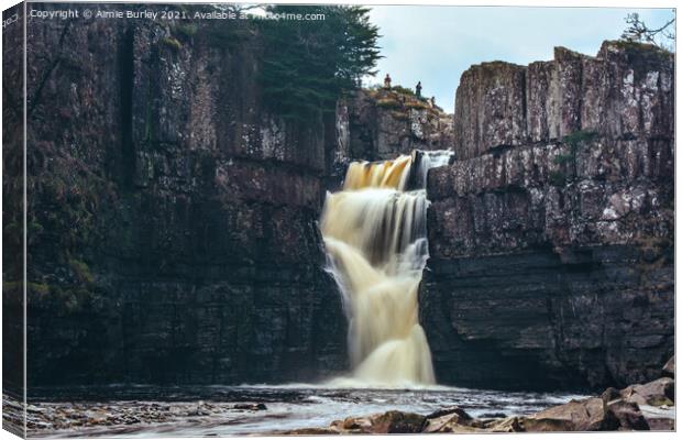High Force Waterfall  Canvas Print by Aimie Burley