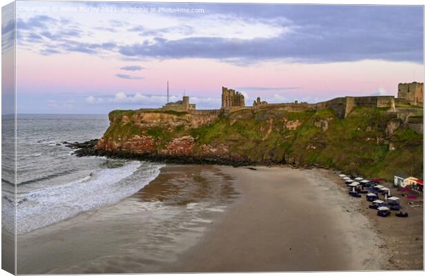 Tynemouth at dusk  Canvas Print by Aimie Burley