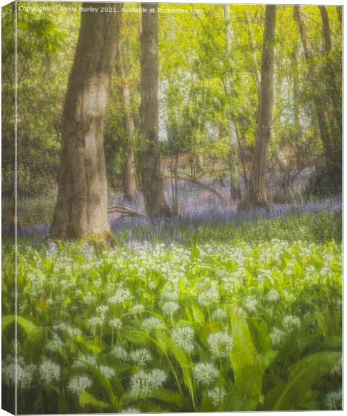 Enchanted Bluebell Forest Canvas Print by Aimie Burley