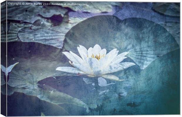 Serenity Blooms Canvas Print by Aimie Burley