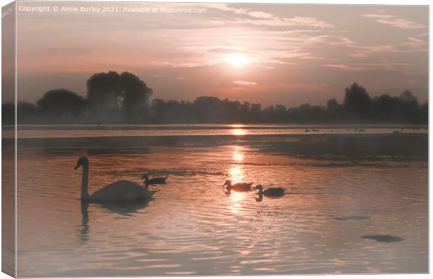 Swans in the mist Canvas Print by Aimie Burley