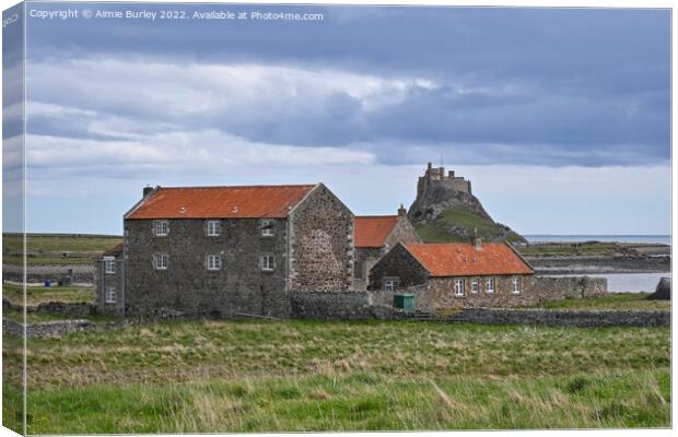 Holy Island Farmhouse Canvas Print by Aimie Burley