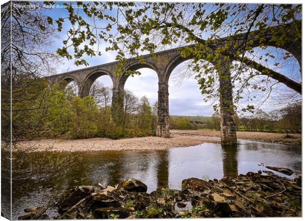 Northumberland viaduct  Canvas Print by Aimie Burley